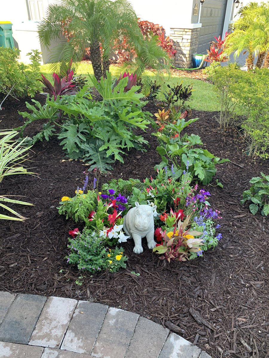 theSheilaRachel's tweet photo. @CincinnatiZoo  My daughter bought me the Fiona statue!  Perfect place for the princess!! https://t.co/g4b9rwyLKw