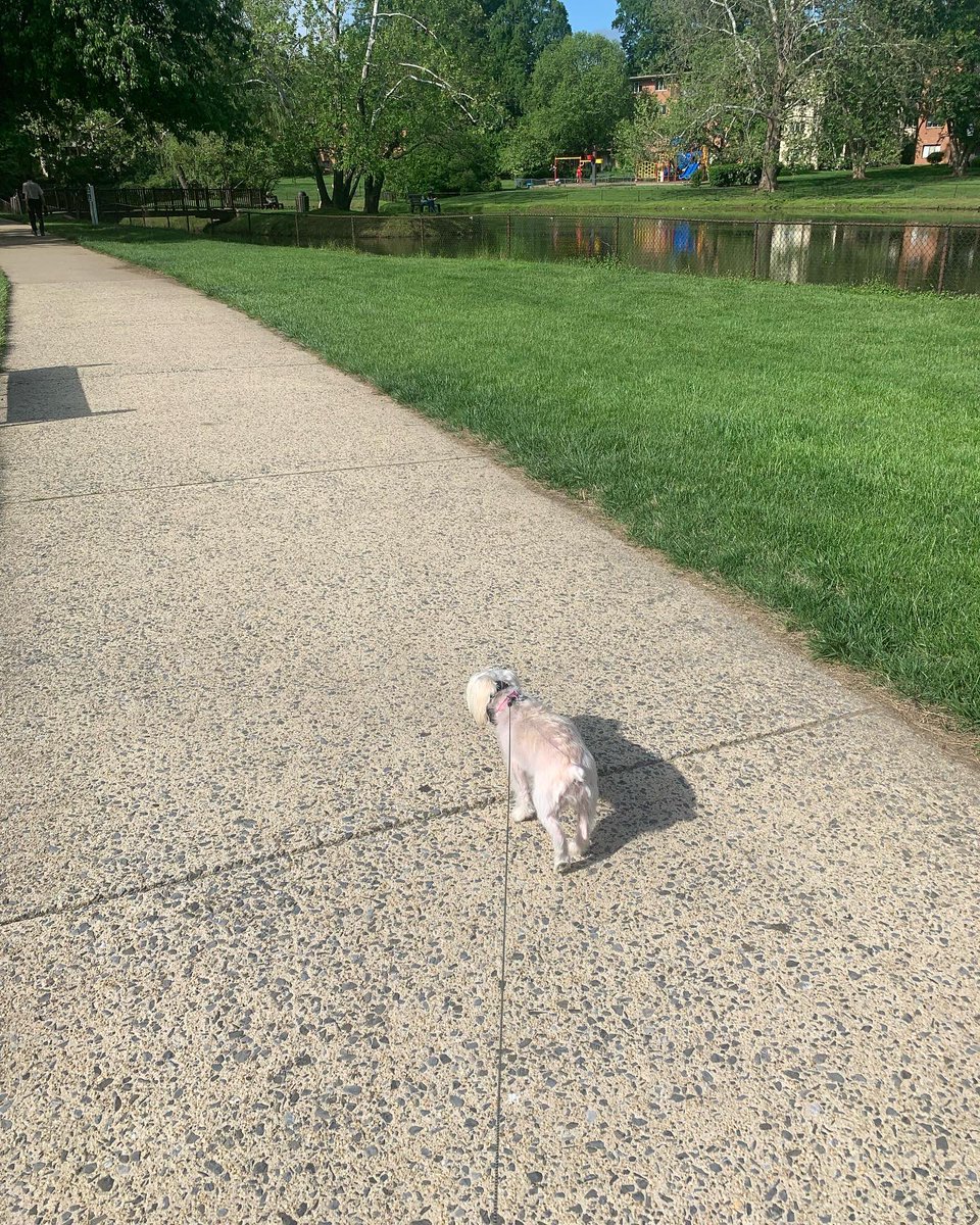 AnitaRises's tweet photo. Taking a walk after the energizing #ywm2022virtual convention. Feeling motivated and inspired. @obesityaction https://t.co/GLGDGWM5pD