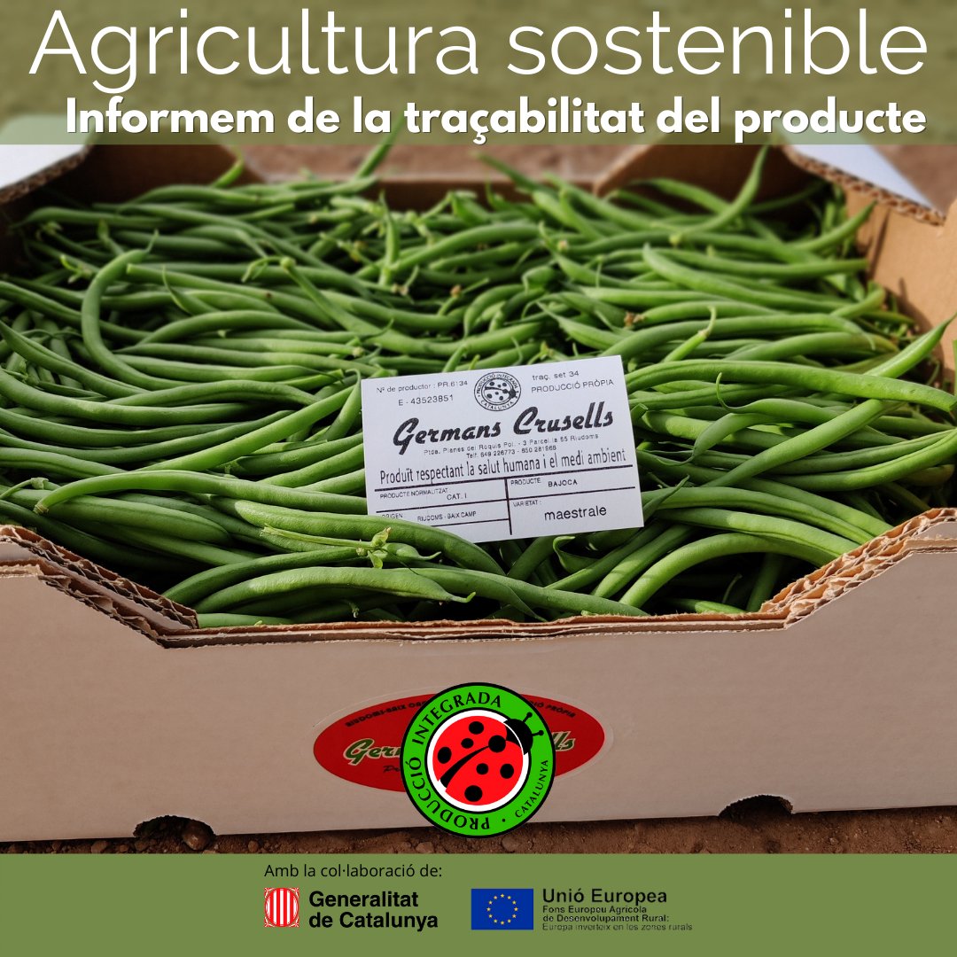 pintegrada's tweet photo. A la Producció Integrada🐞, els nostres productors i elaboradors garanteixen la traçabilitat de fruites i verdures

Som agricultura sostenible☘️🌿🌍

#producciointegrada #agriculturasostenible #sostenibilitat #mediambient #marieta🐞 #fruitesiverdures #traçabilitat #certificació https://t.co/xX1I68VnAH