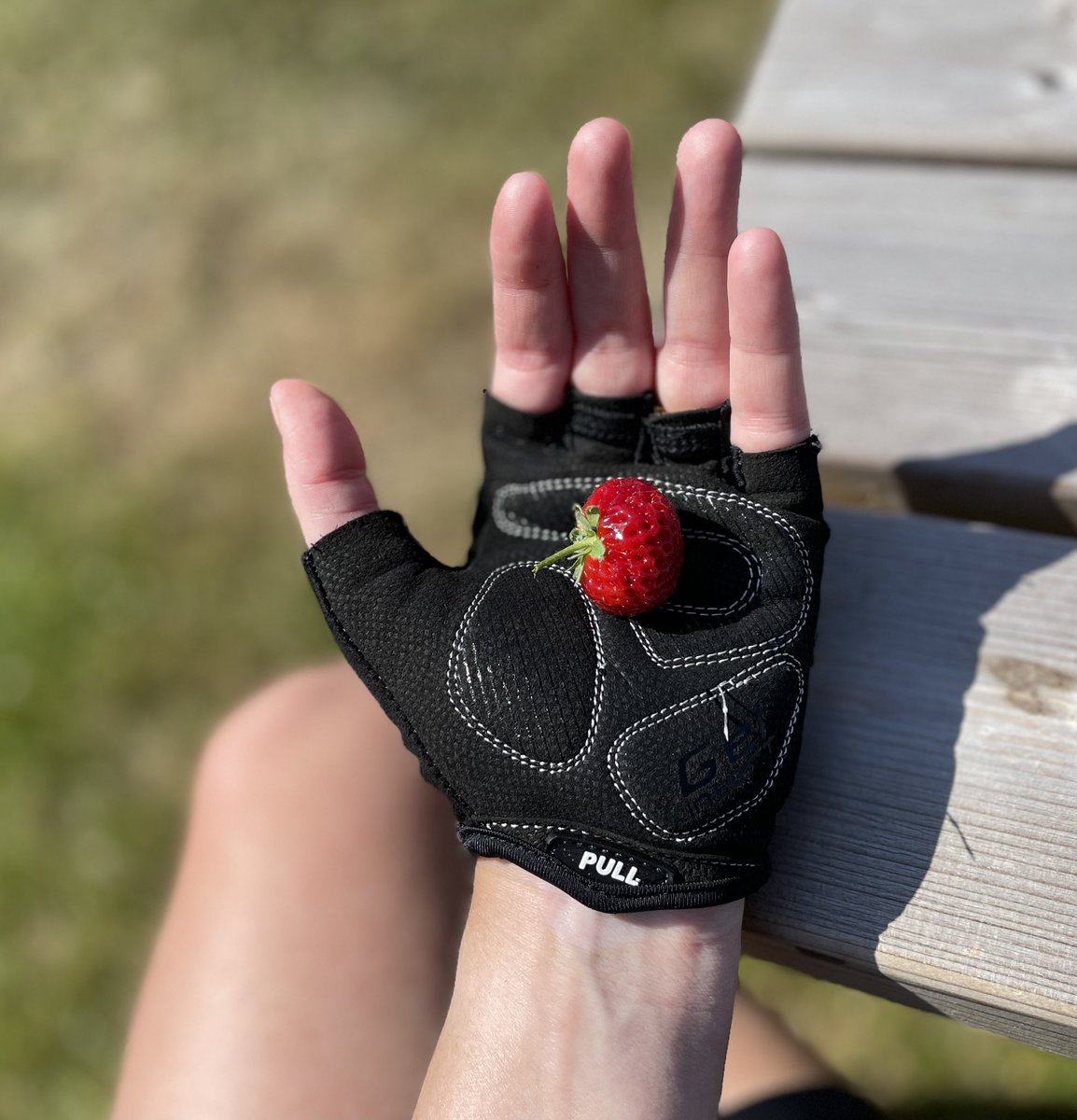 Vandaag gegeten, een kruising tussen een framboos en een aardbei. Ontzettend lekker! En nog nooit van gehoord. Volgende keer wil ik de aardbei met ananas kruising. Je moet er maar opkomen….