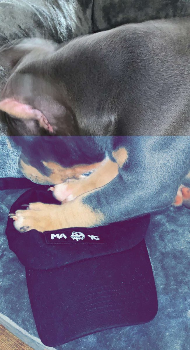 kodathebully69's tweet photo. I want this Macy hat but dad said no 🙄 https://t.co/CwxhuUqp7e