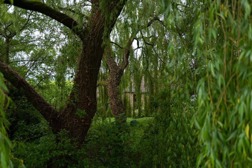 Craig Mod tweet media