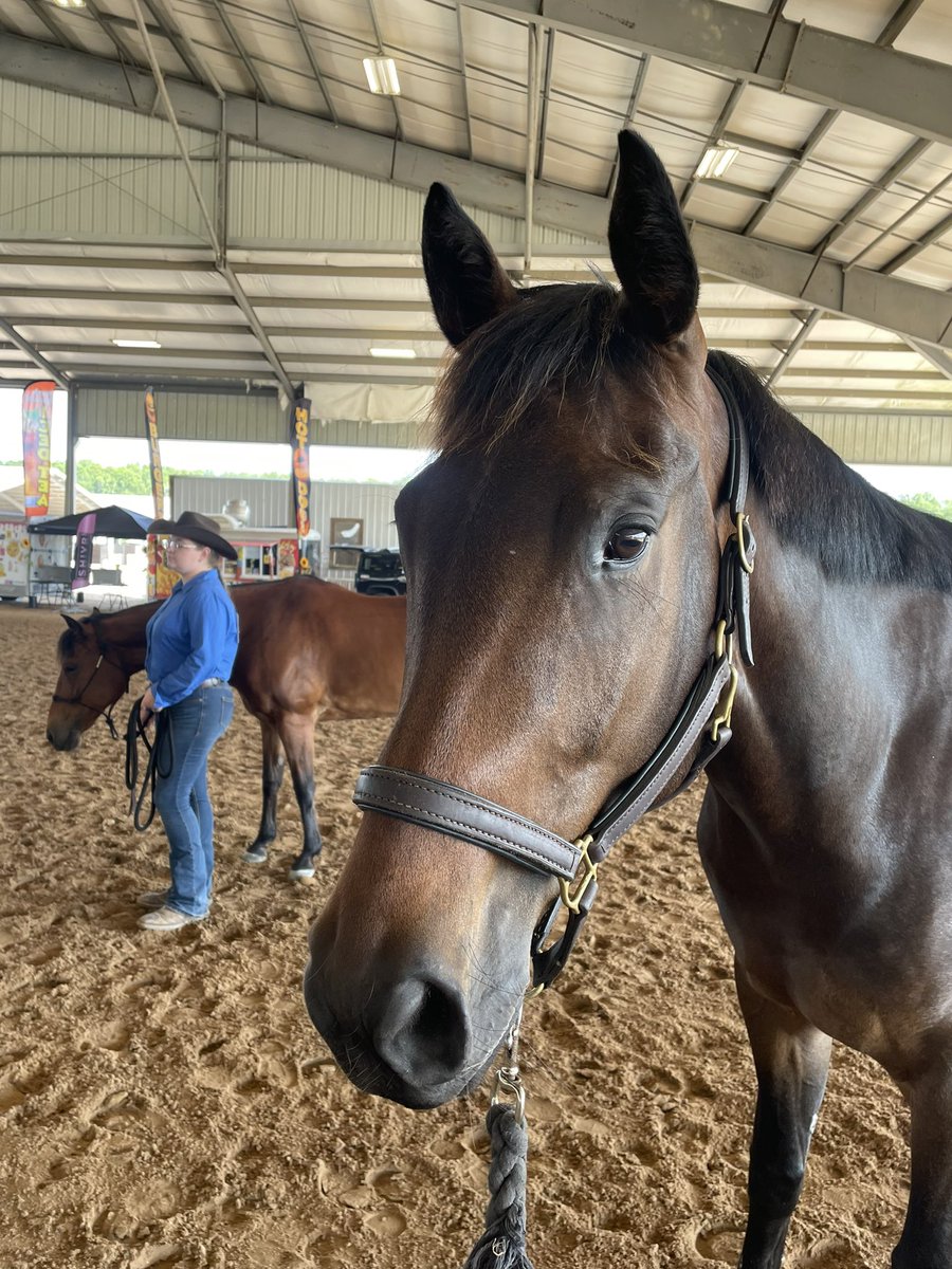 Sea2sky_eq's tweet photo. We played ranch pony today https://t.co/CbAD9PVG1n