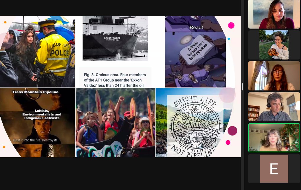 Dr. Christine Corso tweet media