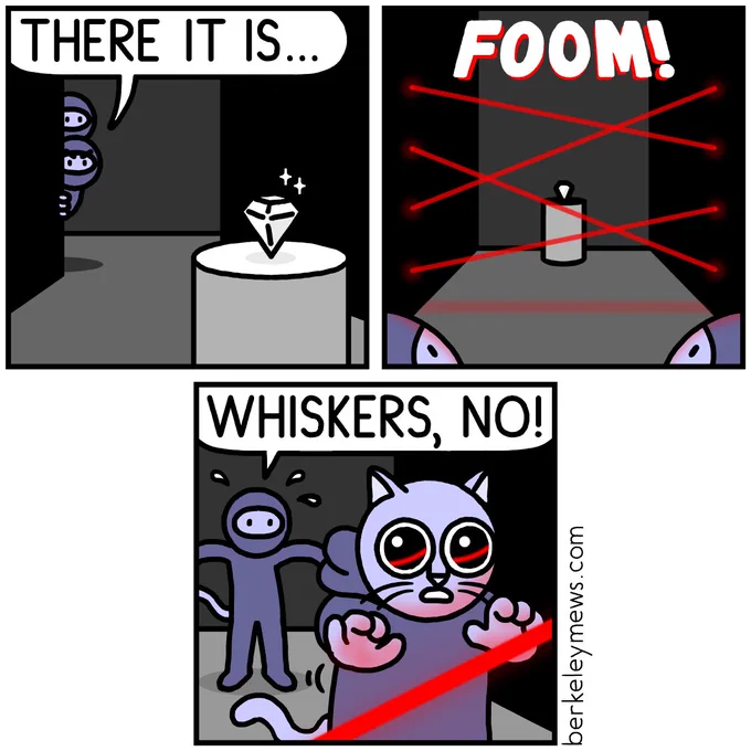 cat burglars 
