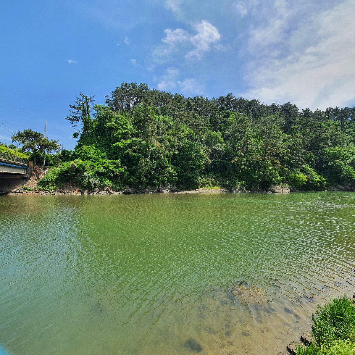 74jblee's tweet image. 하늘은 파랗고 숲은 푸르고 따뜻한 햇살과 강물의 청량함을 실어나르는 바람은 내 살갓을 부드럽게 감싸돌아 지나가고 
-타들어가는 속  방화작업 중-