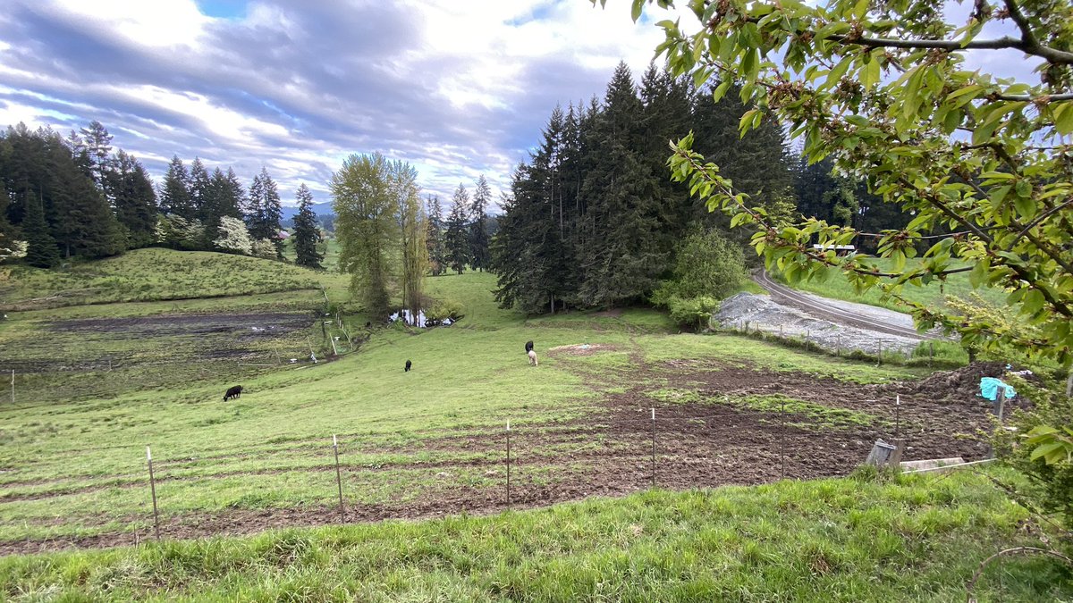 Josie_Osborne's tweet photo. Pressed “pause” for a day this weekend in the beautiful #CowichanValley to recharge for the upcoming week. The words that best sum it up are “verdant, peaceful, and delicious!” 🙏🏼 to all the food growers, winemakers, tea makers, retailers and restaurants. #buyBC #growBC https://t.co/ipLosrMC4T