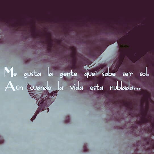 iglesiavirtuaal's tweet photo. Vamos dale luz a tu alrededor. https://t.co/6euCCr03t9