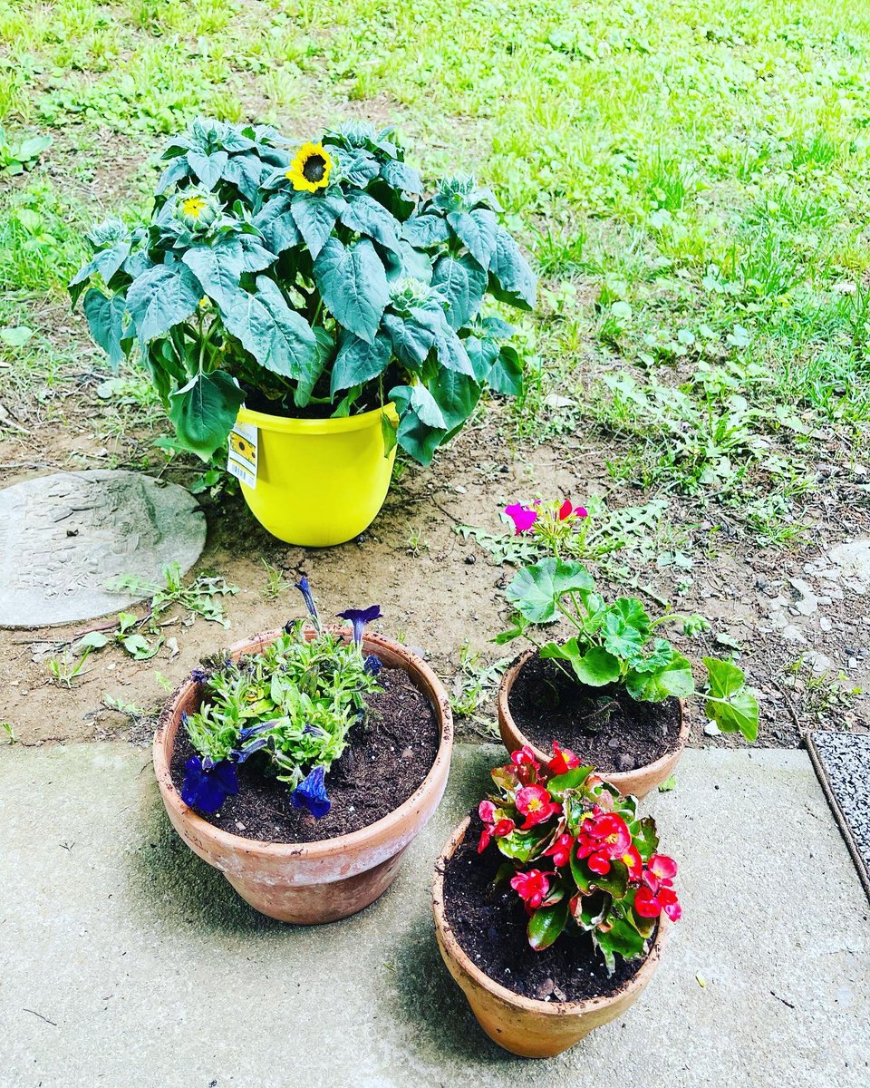 Debmitch63's tweet image. #springinvirginia #spring #flowers