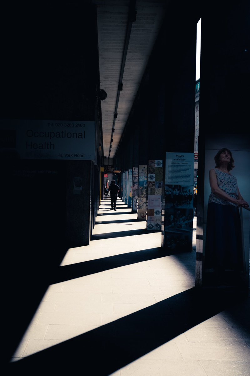 Chasing Shadows ✨