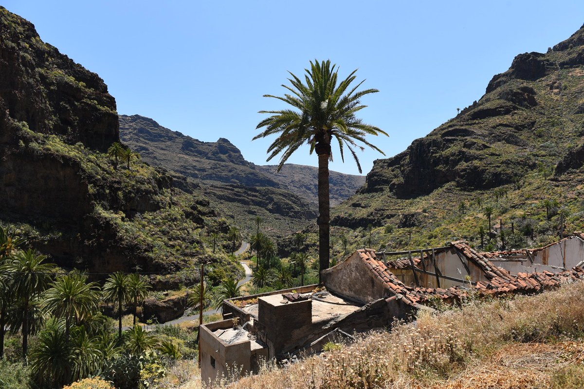 travelthommi's tweet photo. Der  #Barranco #DeGuraimar auf #LaGomera wurde heute von #Imada aus bewandert. Eine sehr schöne Wanderung, wo man sich nach Wolken sehnt. Am Nachmittag wurde es sehr warm. https://t.co/5esnNpPs0c