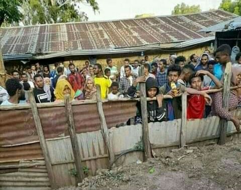 shukuer hamide tweet media