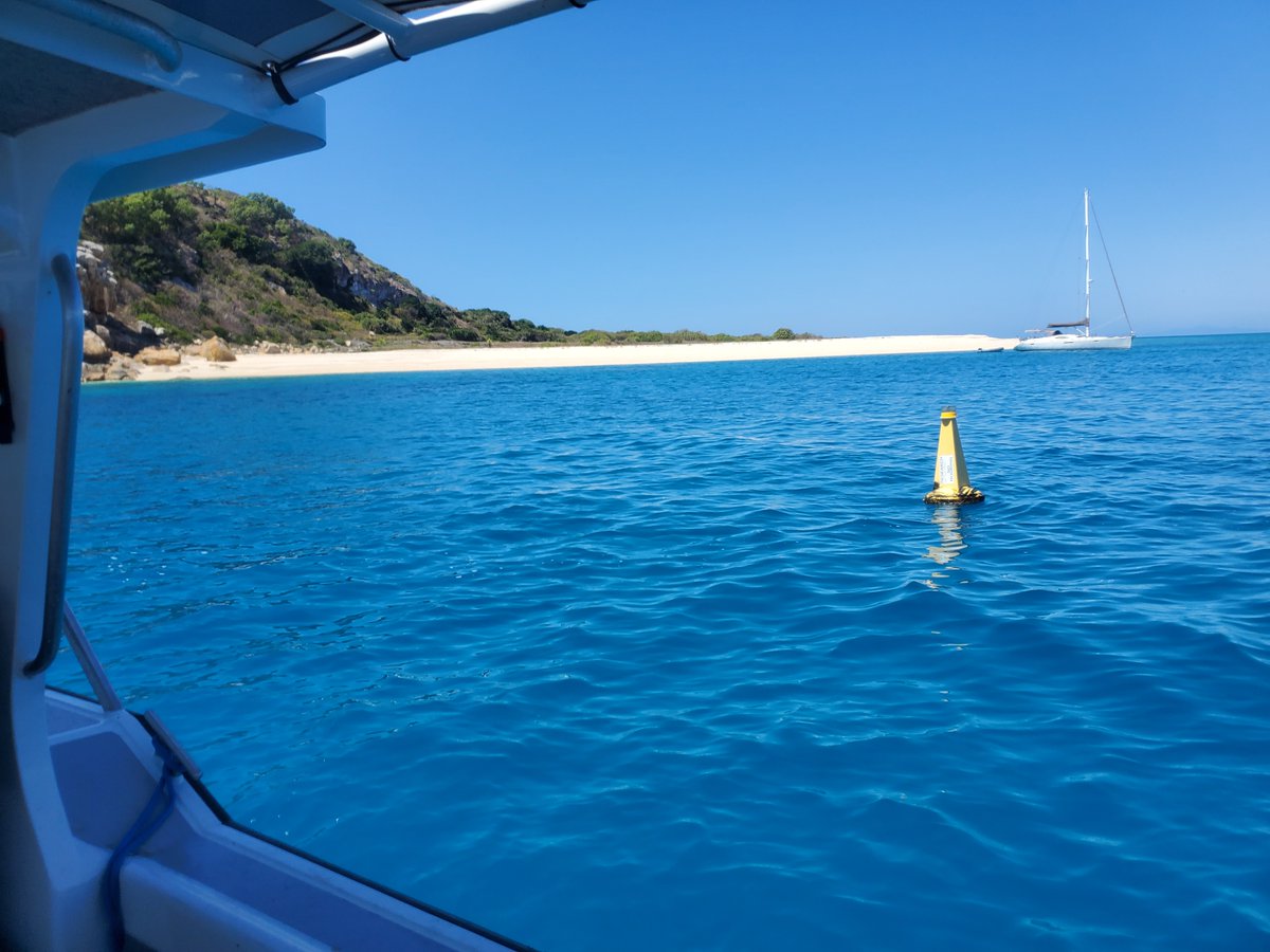 WalthamNathan's tweet photo. 2 PhD scholarships available to study on the Great Barrier Reef - love marine science and experience in water quality, biodiversity, marine habiats: 
https://t.co/vN55cpFH5p

@jcu @TropWATER #marine #PhD #biodiversity #coastal 

@WalthamNathan @mike_rasheed for more detail https://t.co/8pPibI8oGg