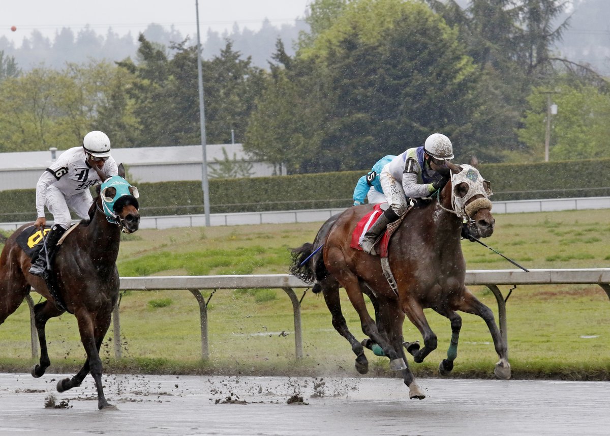 EmeraldDowns's tweet photo. Opening Day
May 15, 2022
First Race
Winner - Fully Complaint
J - Juan Gutierrez
T - Joe Toye
#therushreturns https://t.co/FLYQL9Tl5E