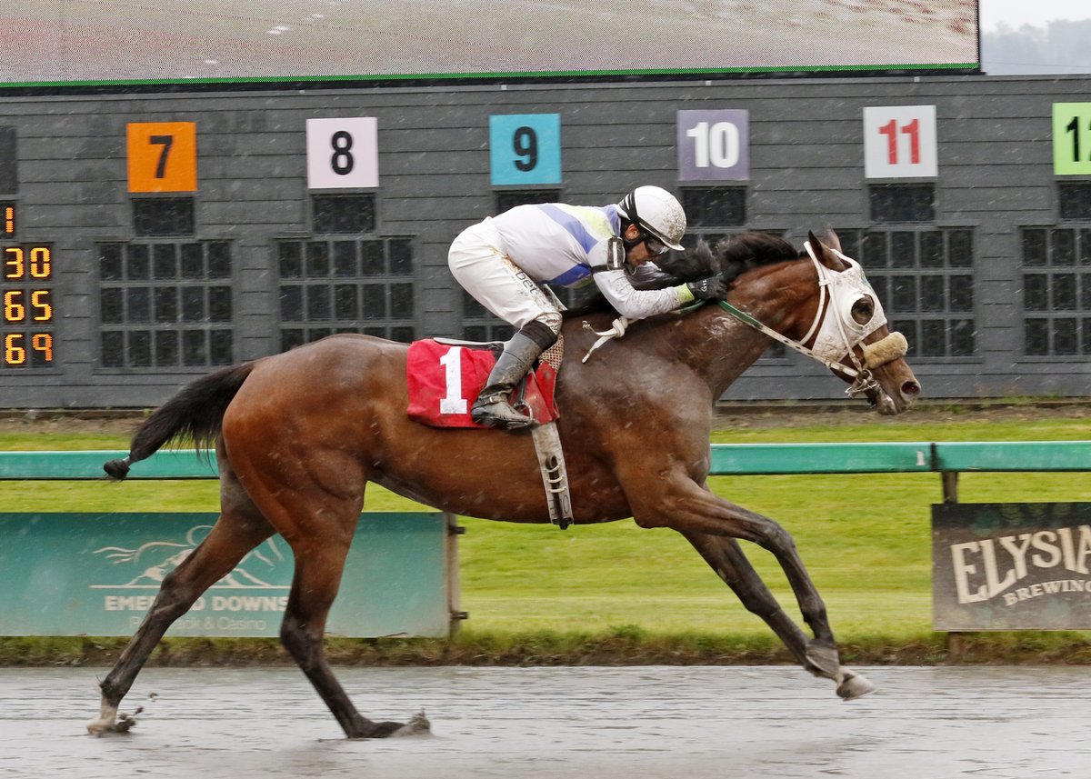 EmeraldDowns's tweet photo. Opening Day
May 15, 2022
First Race
Winner - Fully Complaint
J - Juan Gutierrez
T - Joe Toye
#therushreturns https://t.co/FLYQL9Tl5E