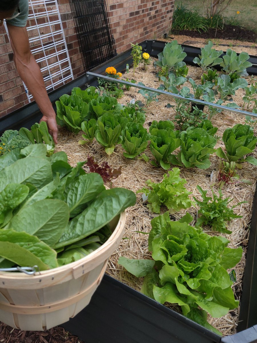 Dawnielle.eth tweet media