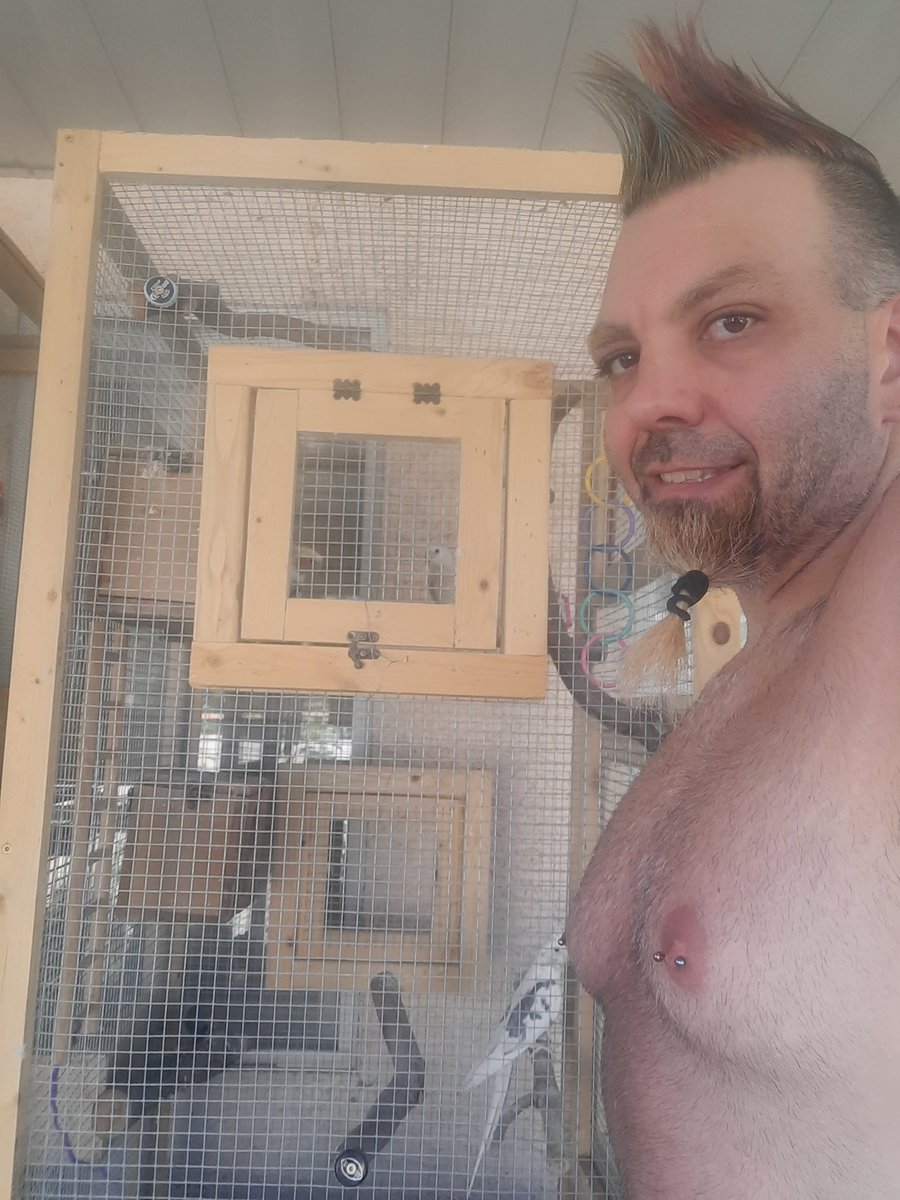 ScrumptiousOso's tweet photo. Luv my birds #therapy #love #aviarylife #homemade #birdcages I build to feel better and #heal my #soul I love #creating and #growing https://t.co/fBzCbfiyjL