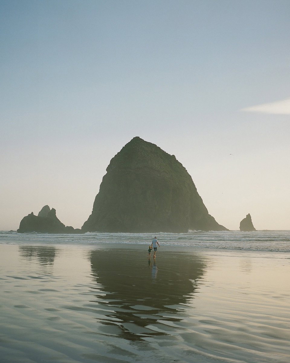 kristopher tweet media