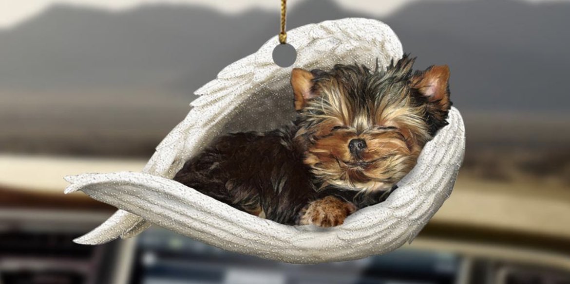 JoshLynn2020's tweet photo. @Dougie_D__ I lost my baby yorkie a few years ago and it nearly killed me. Thoughts and prayers to you and your family https://t.co/bxFcxGIWEo