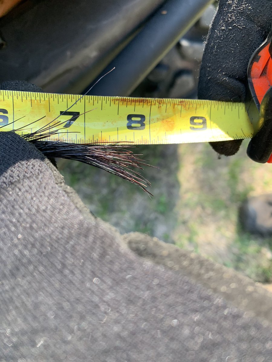 mossberg79's tweet photo. Got er done this aft!! Tag #1 punched!! 4 of them came in hot and looking to lay a beating on my poor ol decoy….I don’t think so Tommy boy!! #turkeyhunting #hunting #bbdown https://t.co/4FFe3IL1dc
