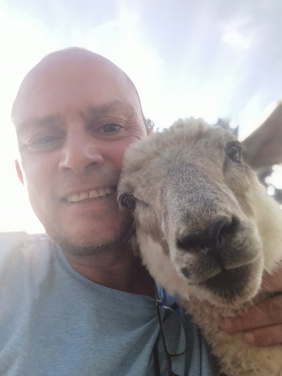 53Nhs's tweet photo. I took a week off work and helped out at my fave animal sanctuary where Lucy the Lamb lives. Ive had the best week ever feeding and looking after 200+ rescue animals. ❤️🐑🐖🐐🦃🐓🐴 https://t.co/nvyfM9apLo