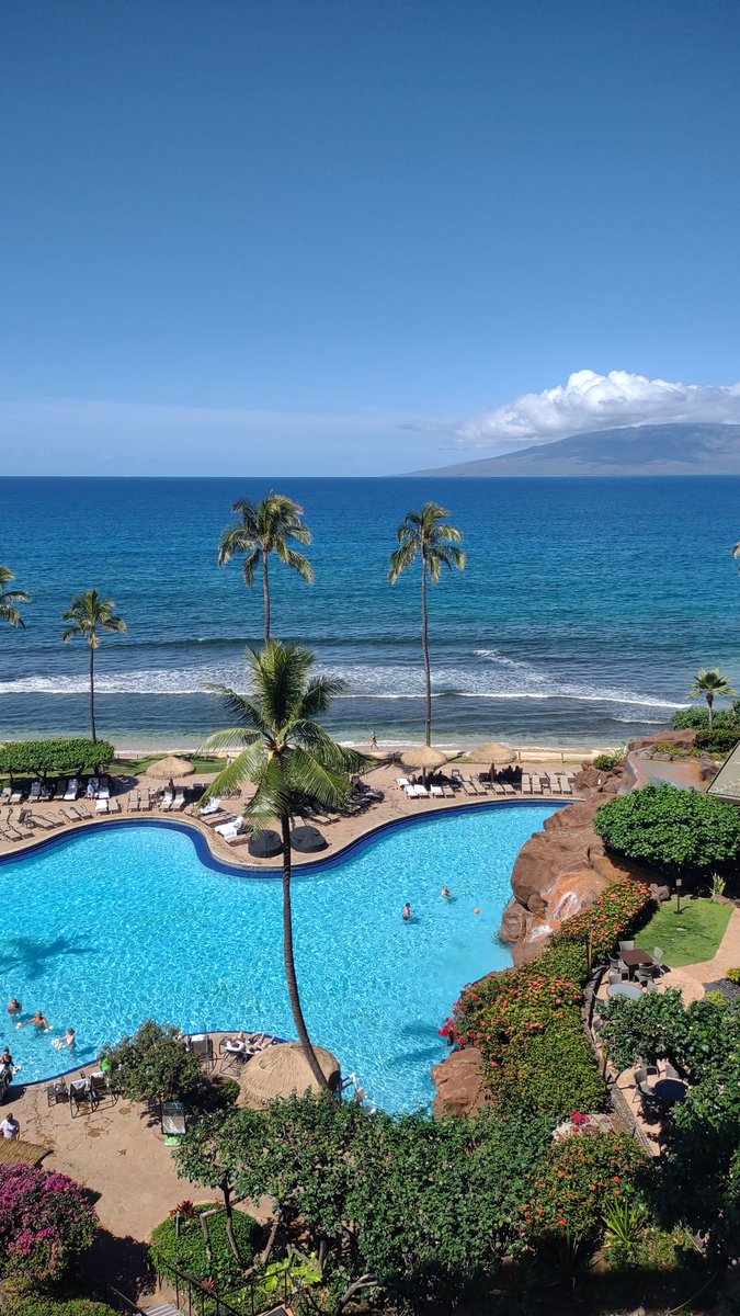 julie_haden's tweet photo. Thank you @DavidWeekley for our amazing trip to Maui! We had such an incredible time. So many memories! 
#itsmauitime #wave1 #davidweekleyhomes 
Mahalo from Jacksonville, FL 
🌺🌺🌺🌺🌺🌺 https://t.co/gJPJIsatB8