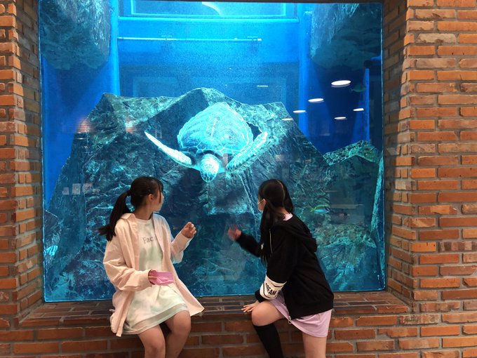 Twitterのコスプレ画像12