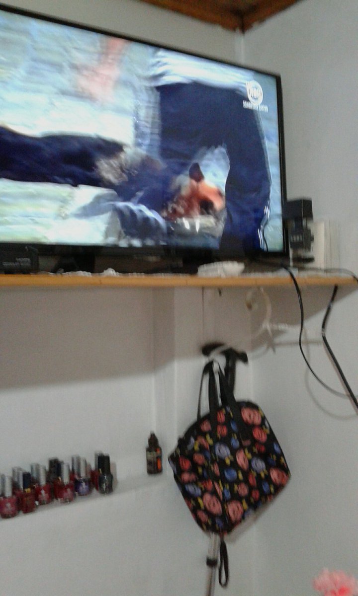 IPujado's tweet image. #comisariorex Hijo de puta rexito herido Marc debe salvarlo