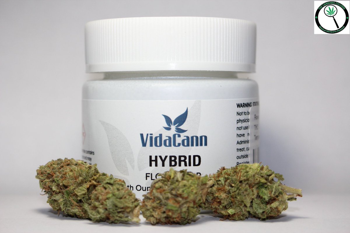 The Cannabis Column tweet media