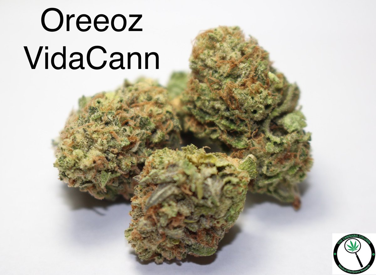 The Cannabis Column tweet media