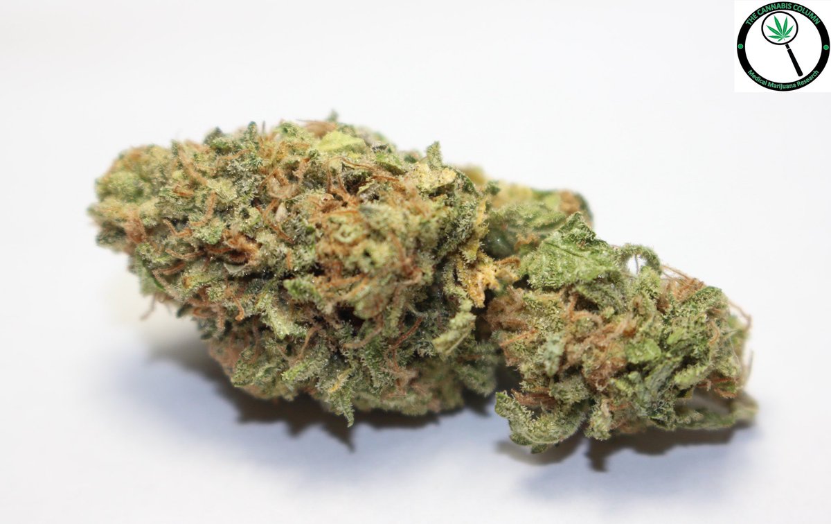 The Cannabis Column tweet media