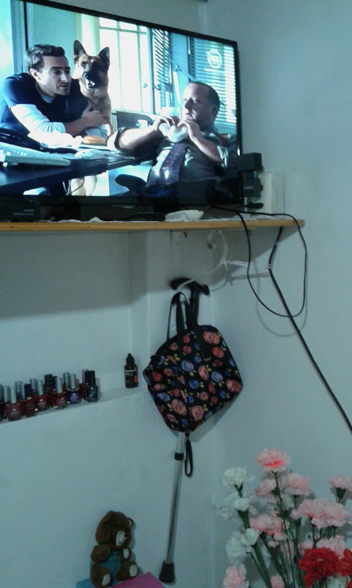 IPujado's tweet image. #comisariorex Gran tarde viendo Rex sólo que será atacado