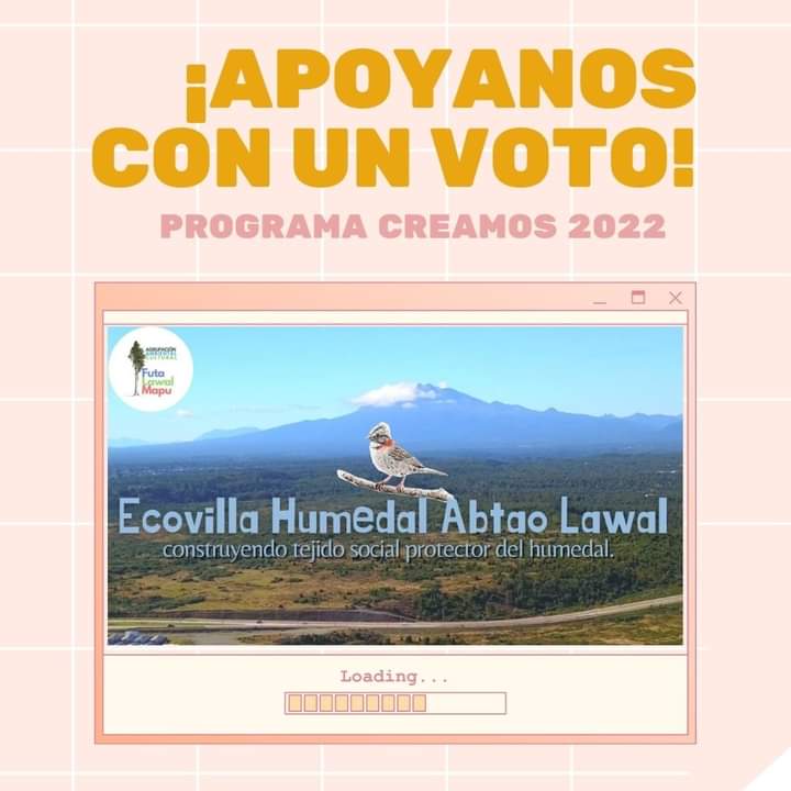 Vota por mi idea: Ecovilla Humedal Abtao Lawal: construyendo tejido social protector del humedal.. creamos.injuv.cl/es-CL/ideas/ec…

Último día!