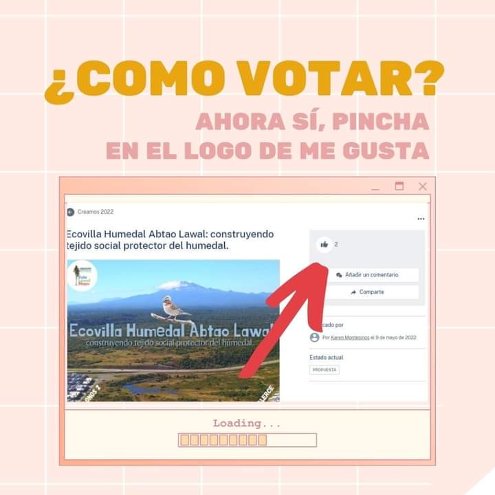 Vota por mi idea: Ecovilla Humedal Abtao Lawal: construyendo tejido social protector del humedal.. creamos.injuv.cl/es-CL/ideas/ec…