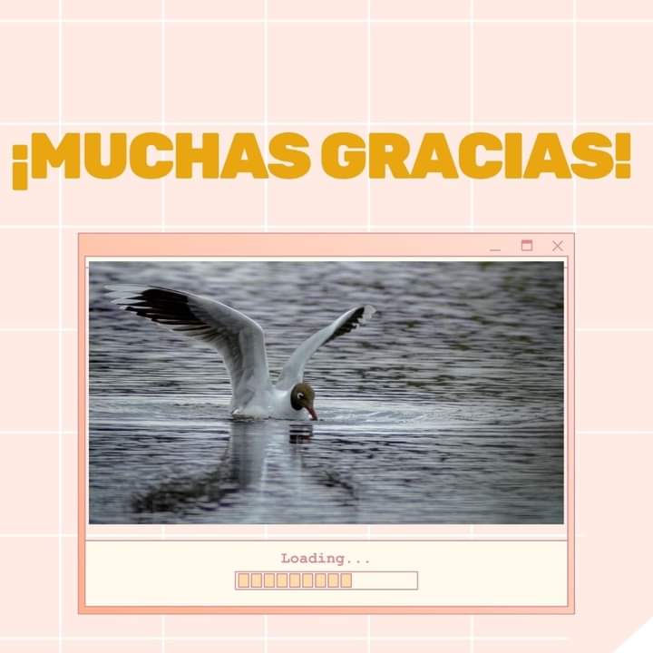 Vota por mi idea: Ecovilla Humedal Abtao Lawal: construyendo tejido social protector del humedal.. creamos.injuv.cl/es-CL/ideas/ec…