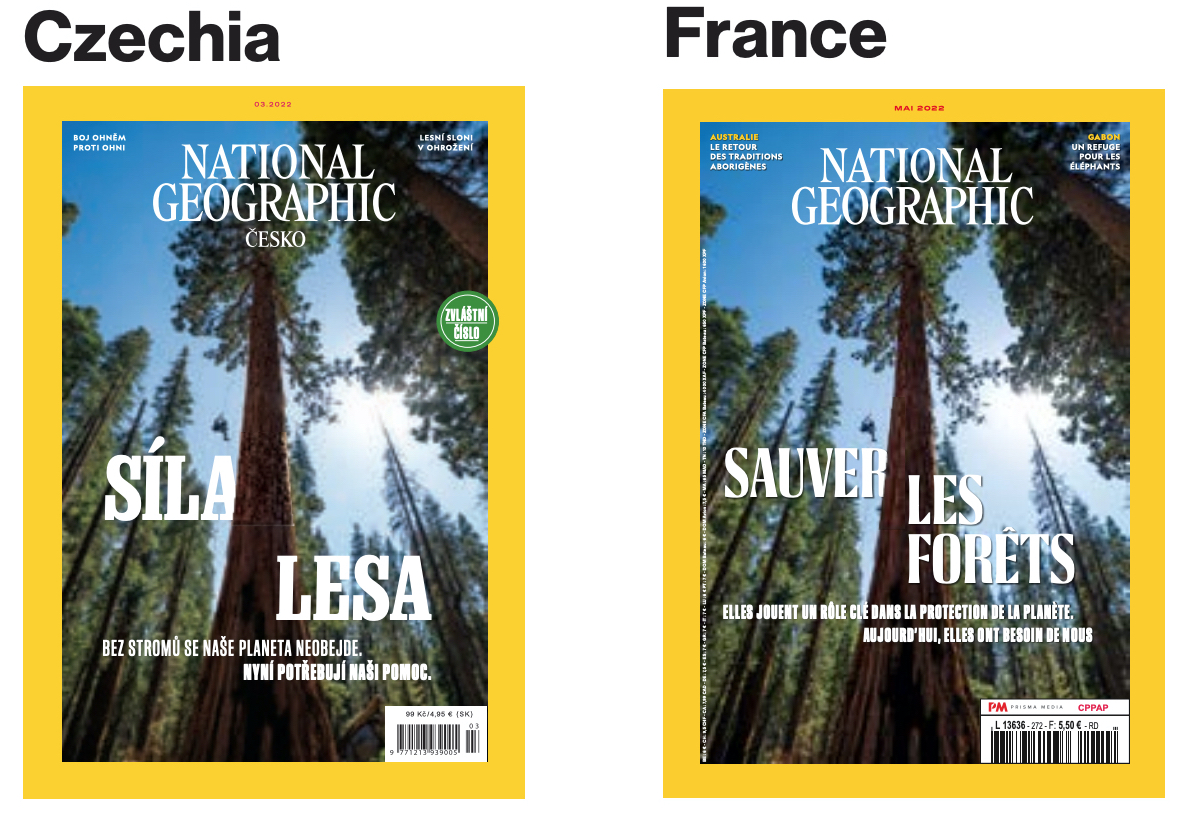 CraigAWelch's tweet photo. Our massive reporting package on haunting, under-appreciated climate threats to the world's forests drove all 26 foreign additions of @NatGeo in May—a true rarity. Most also ran @keithladzinski's breathtaking cover of a giant sequoia. See the whole issue: https://t.co/wiy8WYyXAQ https://t.co/T5moM3rMWn