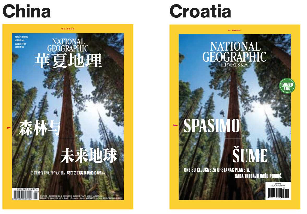 CraigAWelch's tweet photo. Our massive reporting package on haunting, under-appreciated climate threats to the world's forests drove all 26 foreign additions of @NatGeo in May—a true rarity. Most also ran @keithladzinski's breathtaking cover of a giant sequoia. See the whole issue: https://t.co/wiy8WYyXAQ https://t.co/T5moM3rMWn