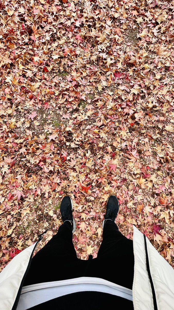 gabrielpaba's tweet photo. Llegó el otoño y con él su magia. 🍁🍂 https://t.co/YLtXiLGKXu
