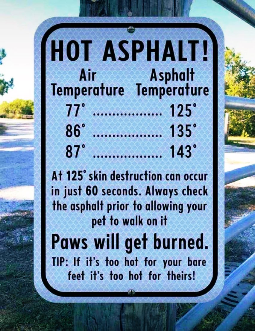 RealJamesWoods's tweet photo. Pet owners, PLEASE consider these facts when you’re too busy walking and texting on a hot day… https://t.co/XtVuRdz9M1