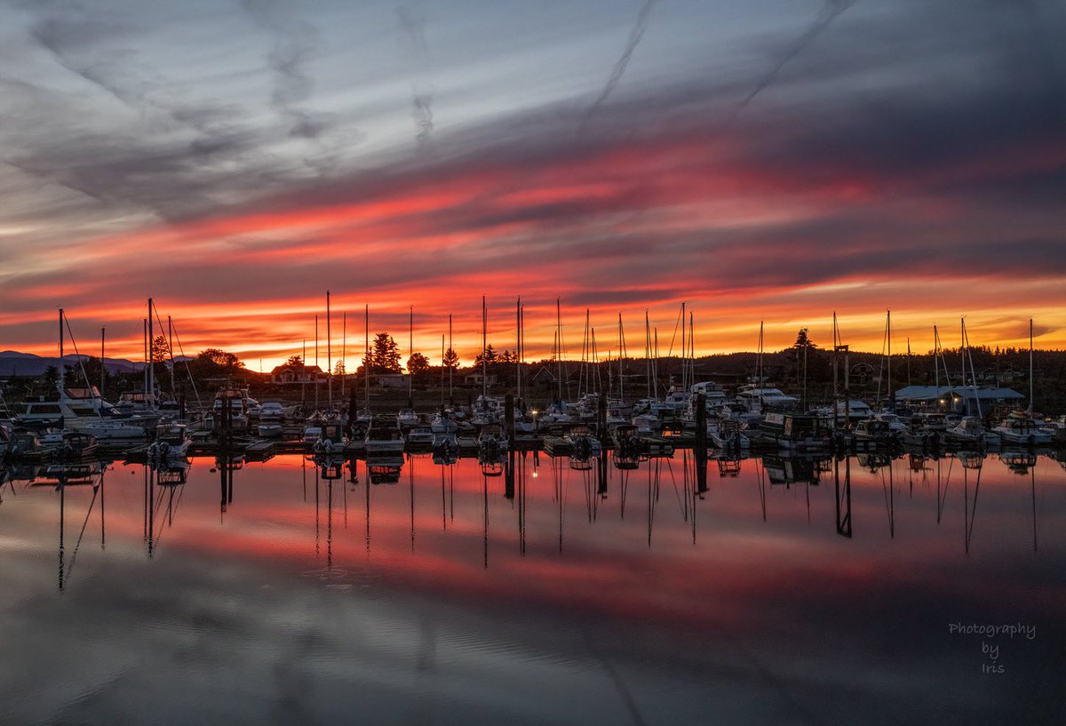 tessvanstraaten's tweet photo. Today's weather photo is this beautiful shot of a fiery sunset pushing through the clouds in #DeepBay. We actually have some sunshine in the forecast!  👏 Details on @CHEK_News at 5. ☀️

📷 Iris Schurz 
@CHEK_Media #ShareYourWeather https://t.co/KAVyJLHPo4