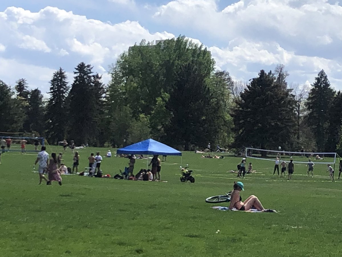 Mark Cavanaugh tweet media