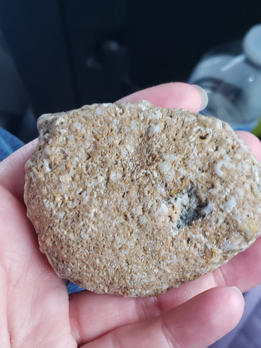 ronniesquirrel's tweet photo. #Michiganrocks find of the night..."fossil soup" 
#sandbetweenmytoes #LakeMichigan #MIhappyplace https://t.co/vCNHKNB6UN