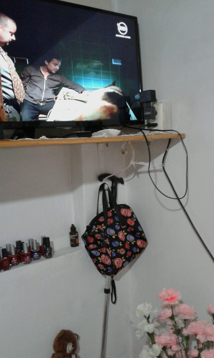 IPujado's tweet image. #comisariorex Rex esta bien el abogado es un viejo de mierda