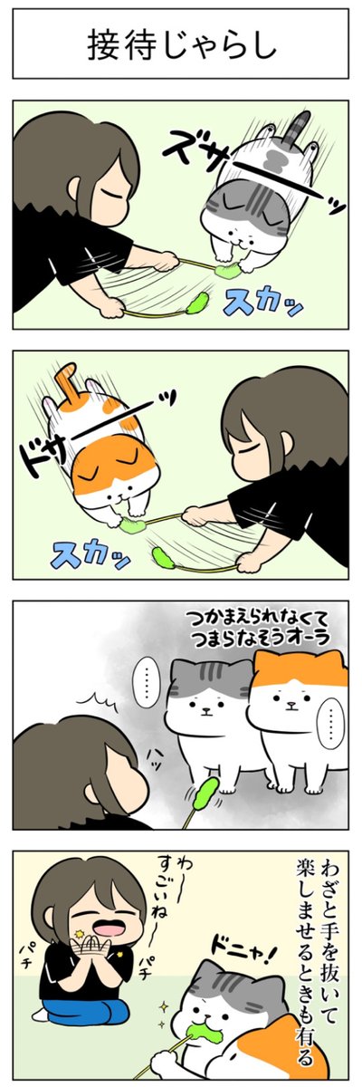 競技名:猫じゃらし・接待じゃらし│フェリシモ猫部 https://t.co/DP4grGUODy 