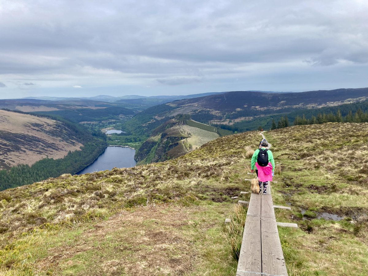 MariaCanEmb's tweet image. Sundays were made for friends, dogs and walks! Feeling blessed to have had such a good one in beautiful Glendalough #loveIreland 💖