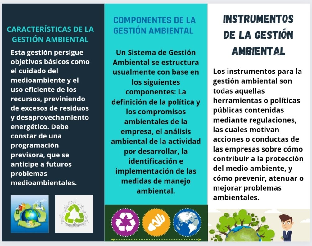 Rocío Ortiz tweet media