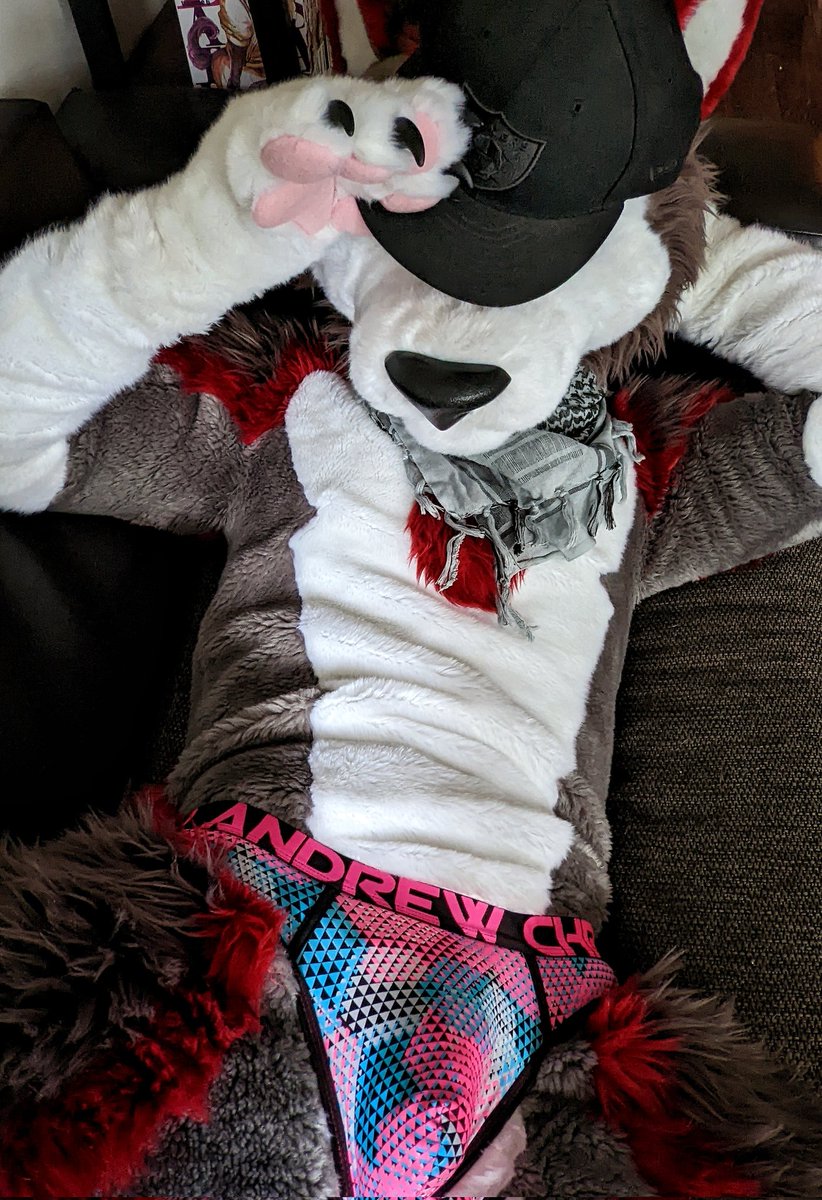 Shilo ➡️ AQF? tweet media