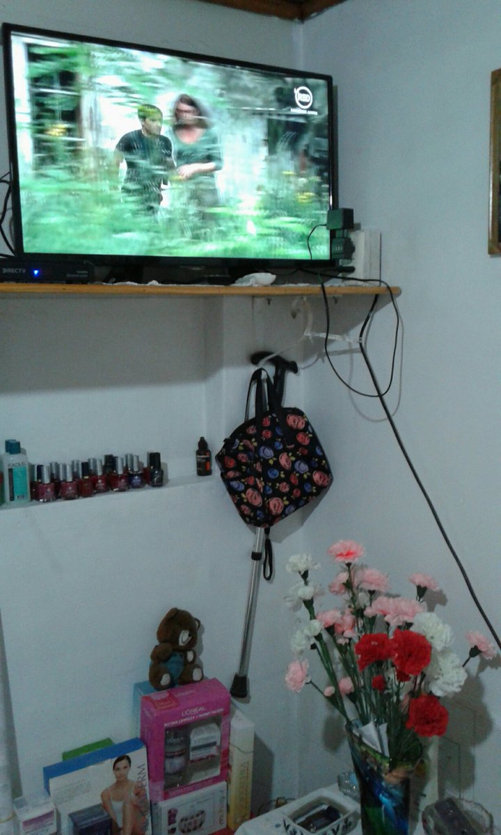 IPujado's tweet image. #comisariorex Rex esta bien Marc y Niky investigan al infeliz