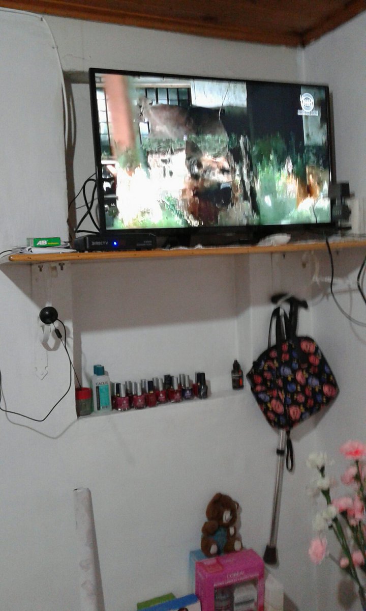 IPujado's tweet image. #comisariorex Rex esta bien Marc y Niky investigan al infeliz