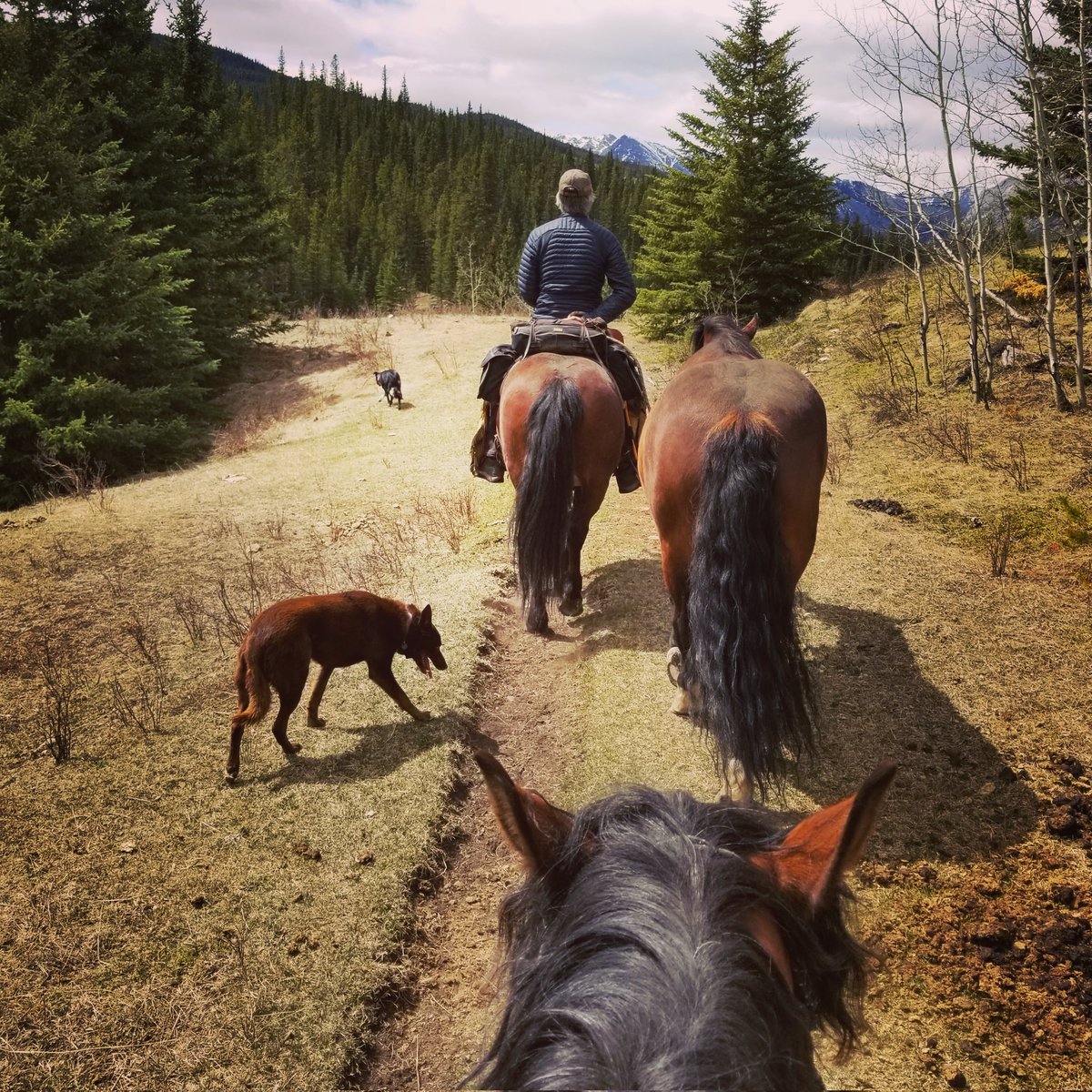 c_winds's tweet photo. Seven crestures back where they belong! #mountainspring @3baywildies https://t.co/awygrZIjwB